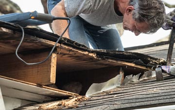 common causes of Bird Street fascia damage