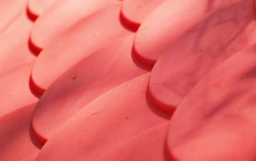 Bird Street plastic roof costs