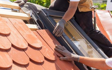 replacement Bird Street roof windows