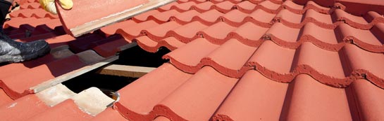 compare Bird Street roof repair quotes