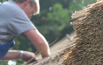 professional Bird Street thatchers