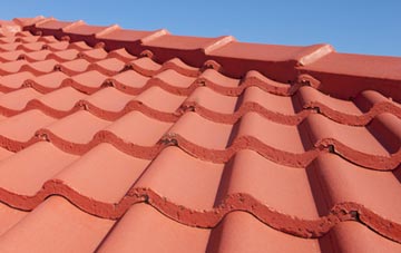Bird Street tile and slate roof replacement