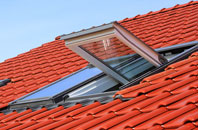 Bird Street roof window