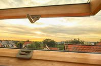 rated Bird Street roof window companies
